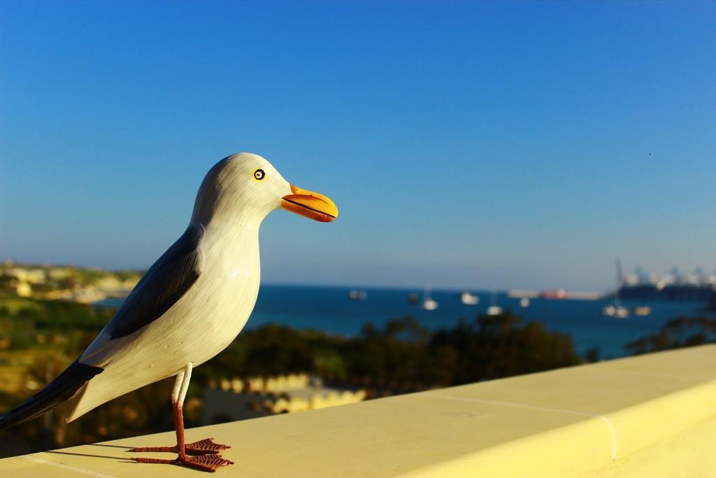 Seagull Penthouse Marsaxlokk 아파트 외부 사진